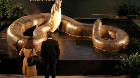 Una muestra en el Museo Smithsonian de Historia Natural de Washington D.C.