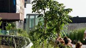 Por ahora, se trata de una idea por lo que no fue incluida  entre  los planes para el último tramo del High Line.