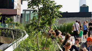 Por ahora, se trata de una idea por lo que no fue incluida  entre  los planes para el último tramo del High Line.