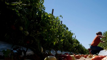 Campesinos en Alabama.