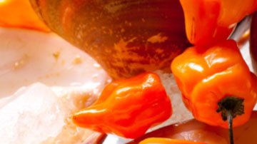 Los pescados y mariscos se deben colocar sobre hielo para su conservación.