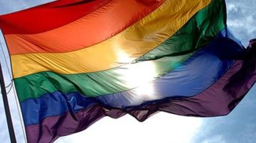 Matrimonios homosexuales formados por estadounidenses y ciudadanos de otras nacionalidades han plantado cara en los tribunales a la Ley de Defensa del Matrimonio de EE.UU.