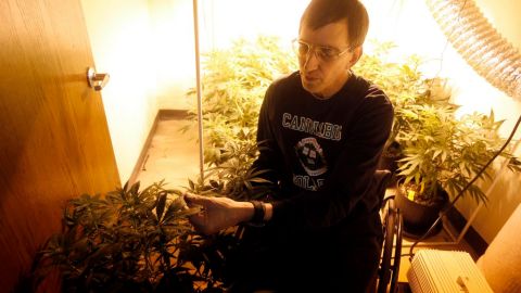 Richard Lee impulsó medidas para legalizar la hierba.