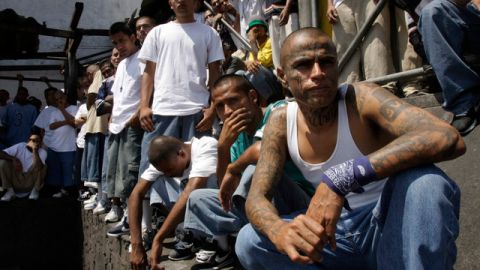Los Zetas reconocen y buscan el nivel de sofisticación que tienen las 'maras', que están muy organizadas.
