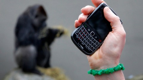 Un celular robado será tan inservible como una billetera vacía.