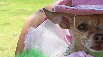 IM_20120411_LOCALES_120419872