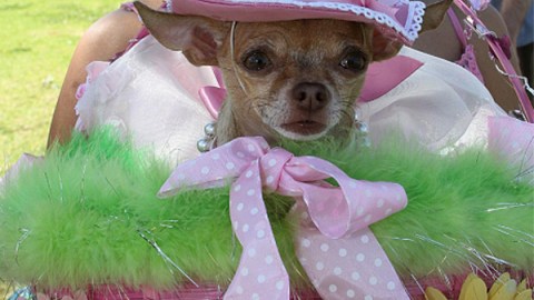 IM_20120411_LOCALES_120419872
