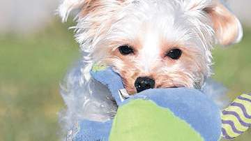 IM_20120411_VIDAYESTILO_120419888