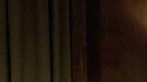 Legisladores durante la discusión sobre el perfil racial.