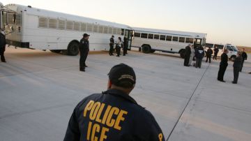 Agentes de inmigración vigilan los buses donde son llevados los indocumentados que van a ser deportados.