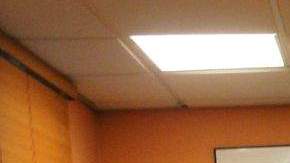 Las áreas donde más se observa el acoso son en el sector de servicios y agrícola.