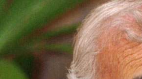 Charles Aznavour ya ha tenido, probablemente, todas las ovaciones, todo el honor y los aplausos que cualquier artista, en cualquier tiempo, pudiera soñar.