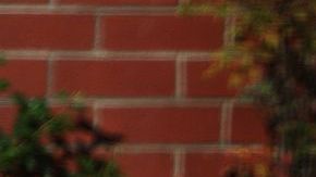 Los parques Disney ampliarán su oferta de bebidas con tiendas Starbucks en sus instalaciones.