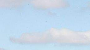 Una de las buenas noticias sobre Nueva York, es que, ahora más que nunca, el aire es más seguro para respirar.