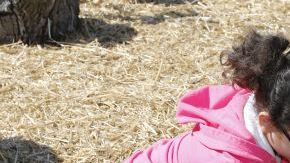 Involucre a sus hijos en el proceso de seleccionar qué tipo de plantas van a cultivar, y eso los ayudará a mejorar su relación.