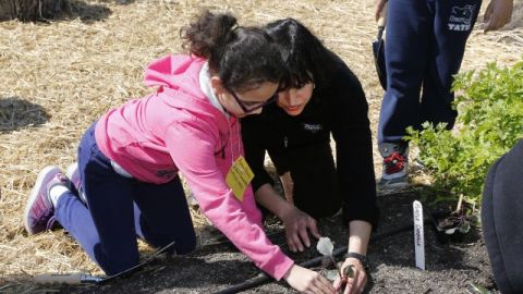 Involucre a sus hijos en el proceso de seleccionar qué tipo de plantas van a cultivar, y eso los ayudará a mejorar su relación.