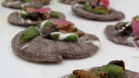 Los insectos son el ingrediente clave de tacos, ceviches, ensaladas o helados.