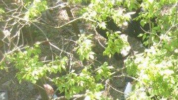 Así quedó la camioneta en la que viajaban.