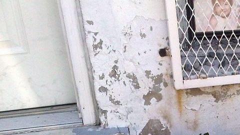 En  la residencia de la familia se colocaron flores y fotos de los menores fallecidos.