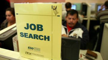 Un desempleado busca información de trabajos disponibles en una base de datos.