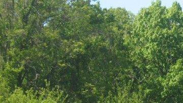 El suceso fue deportado  desde Bronx River Parkway