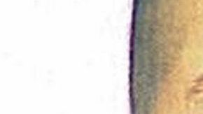 El  NYPD suministró hoy una foto de uno de los sospechosos, un hispano a quien identificaron como Julián Rodríguez,  de  5'7"  de estatura, 169  libras, pelo corto negro y piel trigueña. Sobre el otro sospechoso no se ofrecieron  detalles.