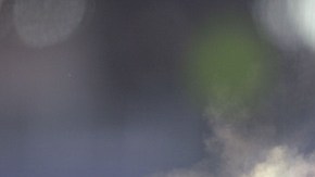 La familia  de Seau no va a especular si las conmociones cerebrales fueron un factor en el suicidio del exjugador.