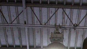 El deportista boricua ha tenido un fuerte entrenamiento.