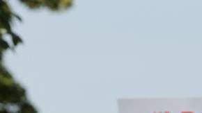 El senador republicano James Alesi  no competirá por su reelección.