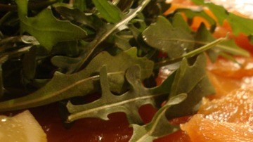Carpaccio de salmón con rúcula.