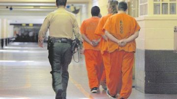 Las medidas para evitar las violaciones en las prisiones federales no contempla los derechos de los detenidos por el ICE.