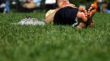Los neoyorquinos pueden descansar más tranquilos en los parques de la ciudad con la presencia de menos fumadores, según informe revelado ayer.
