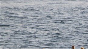 Una solución basada únicamente en atacar a los piratas provocaría que éstos incrementasen más su arsenal.