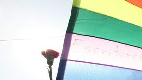 Los dos recursos, avalados por la Unión de Libertades Civiles de Illinois y el grupo en defensa de los gays con sede en Nueva York, "Lambda Legal ", incluye a parejas del área de Chicago, Bloomington y Marion.