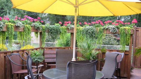 Convierta su patio en un lugar ideal donde pasar tiempo estas vacaciones de verano.
