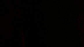 Luego de chocar contra una pared de cristal, Justin se desvaneció al final de un concierto en París y utilizó Twitter para tranquilizar a sus fans.