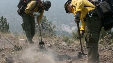 Bomberos revisan parte de la zona arrasada por un incendio forestal en el área de Mogollon, Nuevo México.