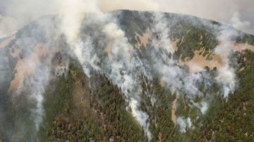 El fuego forestal arde sobre una montaña en el Bosque Nacional de Gila en Nuevo México.
