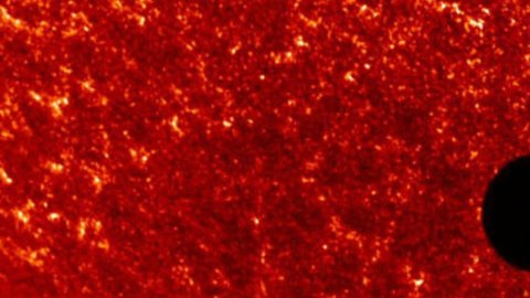 Ve el planeta Venus cruzar al sol en el cielo sobre la Ciudad de Chicago desde el Planetario Adler el 5 de junio a las 5 p.m.