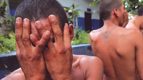 La fiscal del condado de  Cook, Anita Álvarez indicó que, bajo RICO, las pandillas serán tratadas como empresas criminales y tanto policías como fiscales podrán "combatir la enfermedad y no solamente los síntomas".