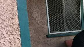 La clave del triunfo en Compton fue la intensa labor desarrollada por el Comité.