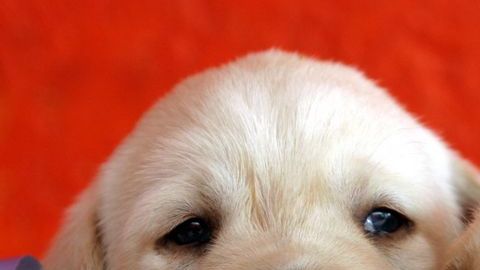 IM_20120612_VIDAYESTILO_120619828