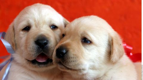 IM_20120612_VIDAYESTILO_120619828