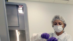 Nuevas técnicas apuntan a que se perfeccione el método de clonación con celulas madre que se conoce hasta ahora.