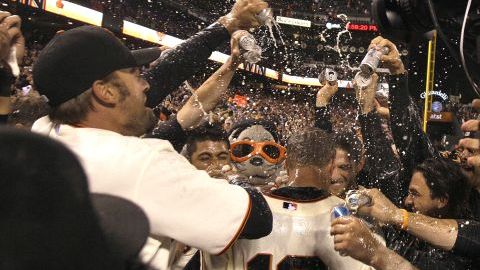 Matt Cain celebra con sus compañeros de los Gigantes de San Francisco.