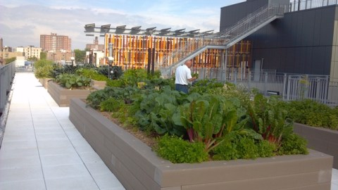 Funcionarios esperan que el complejo Vía Verde siente un precedente de desarrollo ecológico e inteligente en El Bronx.