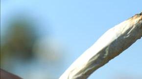 La posesión de marihuana actualmente es un delito menor castigable con hasta seis meses de cárcel y una multa de 1,500 dólares.