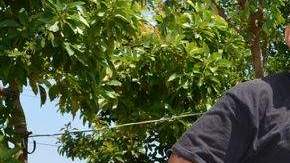 El exinfante de Marina Luis Madrigal Alvarez, excombatiente de la guerra de Vietnam, es uno de los promotores asociación conocida como Veteranos Desterrados.