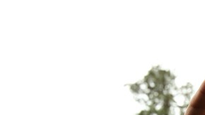 Foto de archivo que muestra a manifestantes que protestan contra la SB1070 de Arizona.