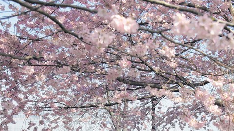 Riverside Park